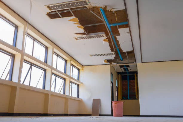 Best Ceiling water damage repair  in Town And Country, WA