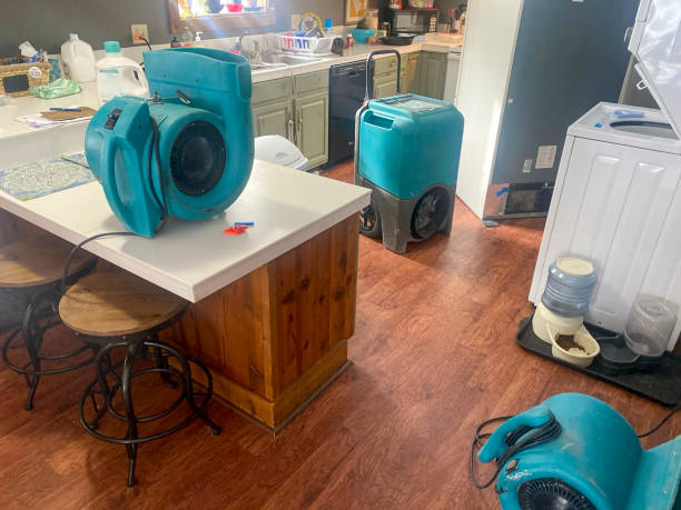 Best Commercial water damage restoration  in Town And Country, WA
