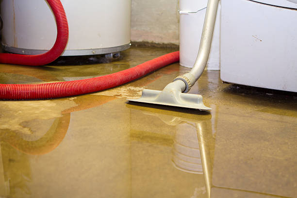 Water damage restoration experts in WA