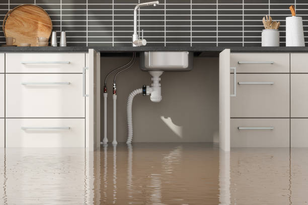 Best Water damage contractors near me  in Town And Country, WA
